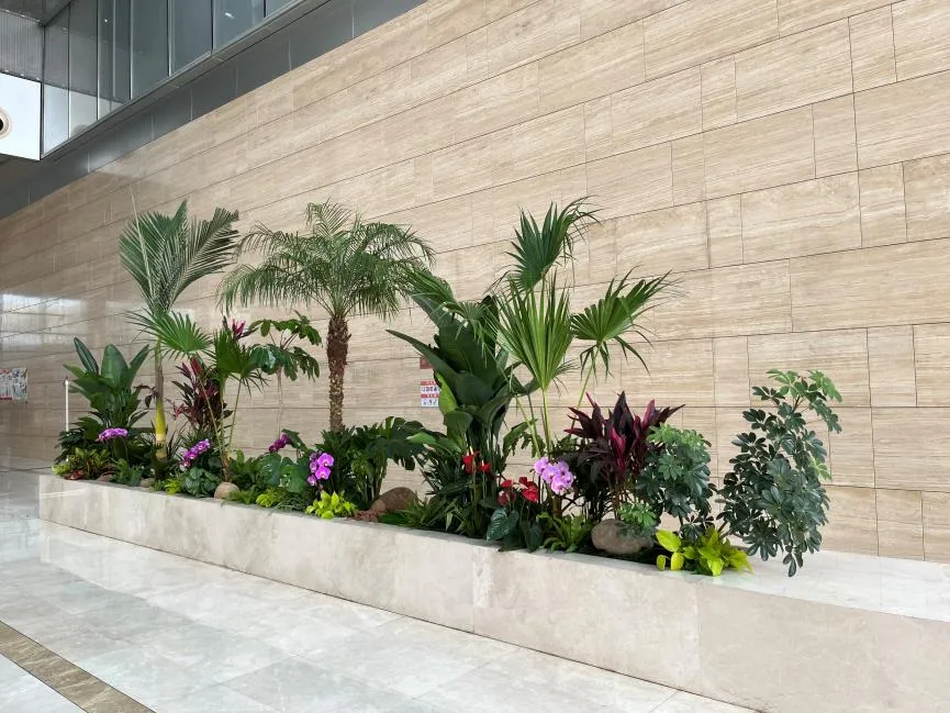 体验海曙花木租赁设计的非凡创意